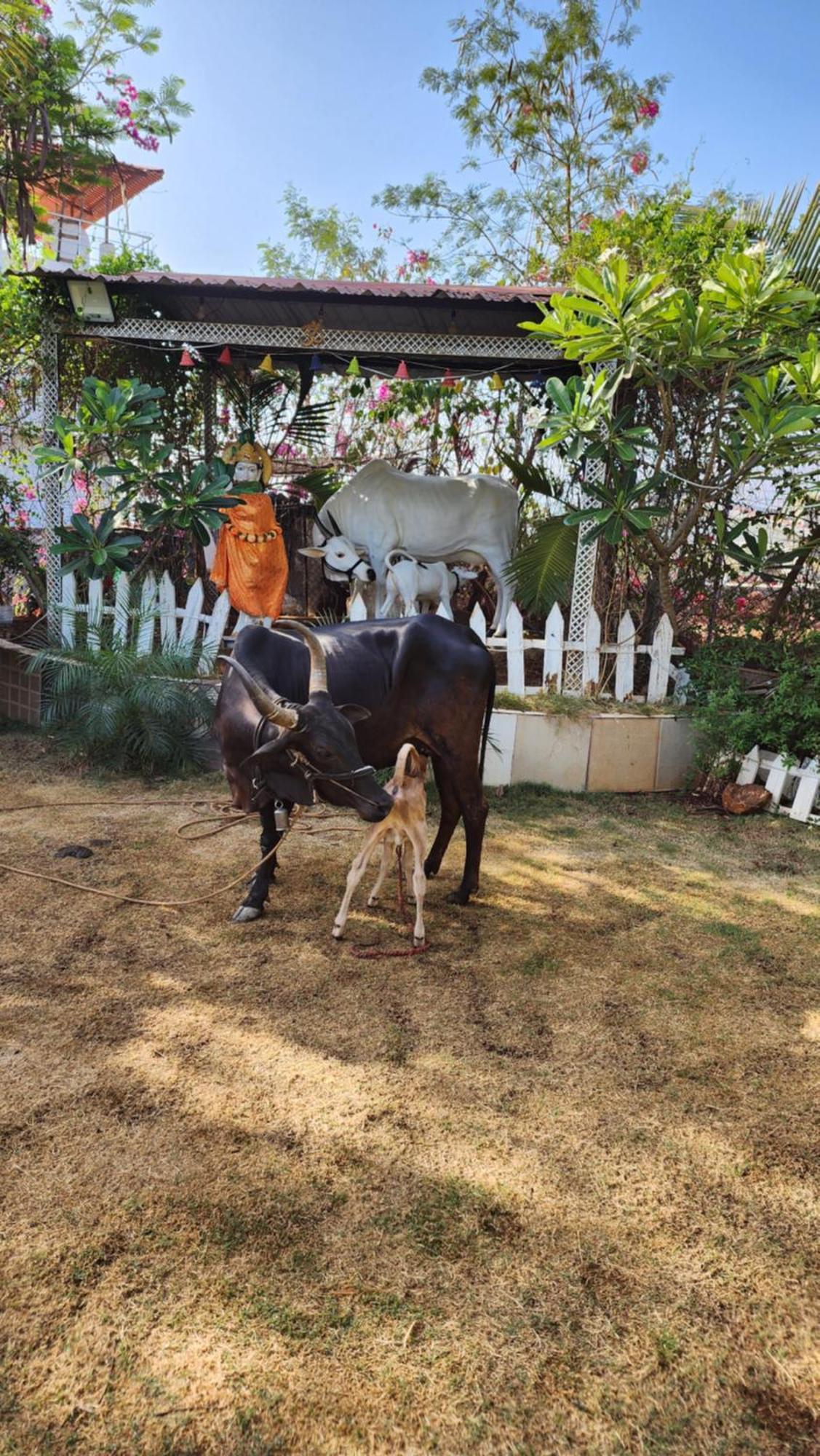 Saifarms Private Farmhouse Between Pune & Lonavala Nethersole Dam Exterior foto